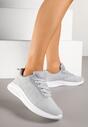 Pantofi sport Gri