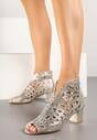 Botine Aurii