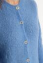 Cardigan Albastru