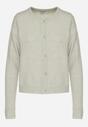 Cardigan Verde deschis