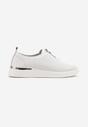 Pantofi casual Albi