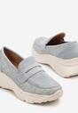 Pantofi casual Albaștri