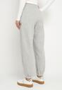 Pantaloni Gri deschis