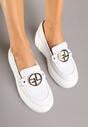 Pantofi casual Albi