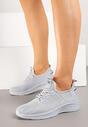 Pantofi sport Gri