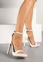 Pantofi stiletto Albi