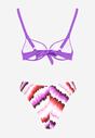 Lila Bikini