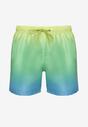 Costum de baie bărbătesc Verde