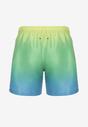 Costum de baie bărbătesc Verde