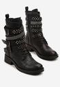 Botine Negre