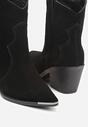Botine Negre