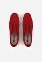 Teniși  Roșii