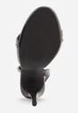 Pantofi stiletto Negri