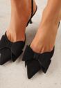 Pantofi stiletto Negri