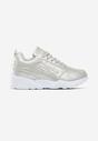 Srebrne Sneakersy Cannet