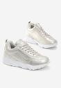 Srebrne Sneakersy Cannet
