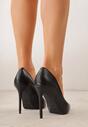 Pantofi stiletto Negri