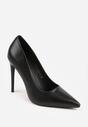 Pantofi stiletto Negri