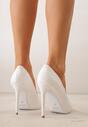 Pantofi stiletto Albi