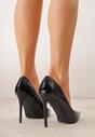 Pantofi stiletto Negri
