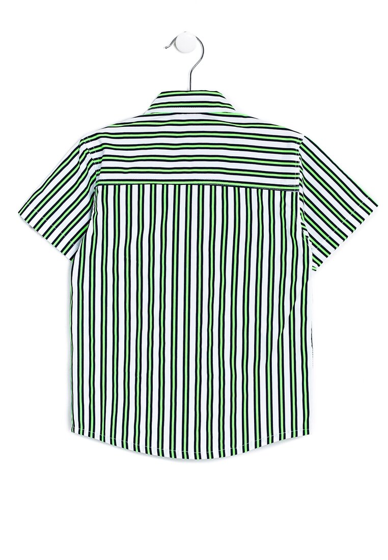 Biało-Zielona Koszula Speculator