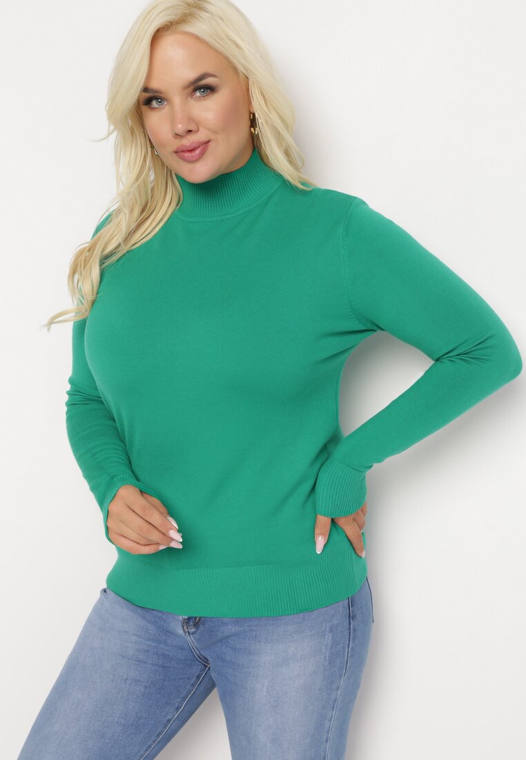 Zielony Sweter z Golfem Erimessa