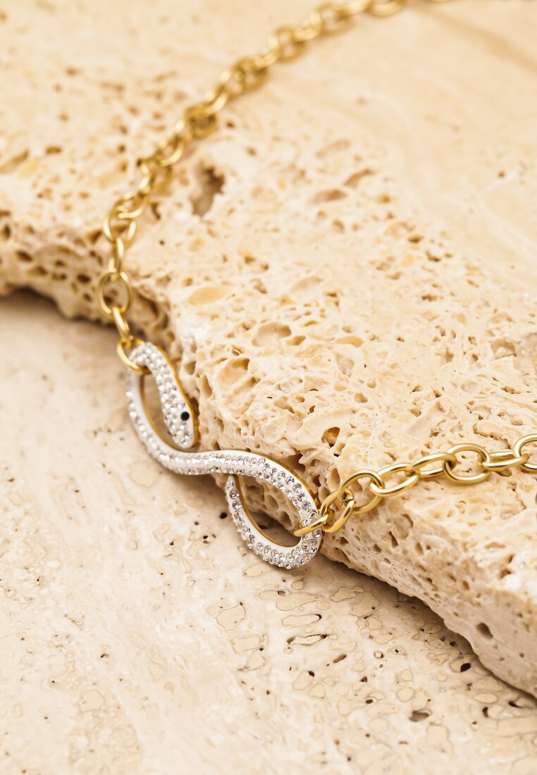 Srebrno-Złoty Naszyjnik z Zawieszką z Symbolem Węża Nieskończoności Anrioes