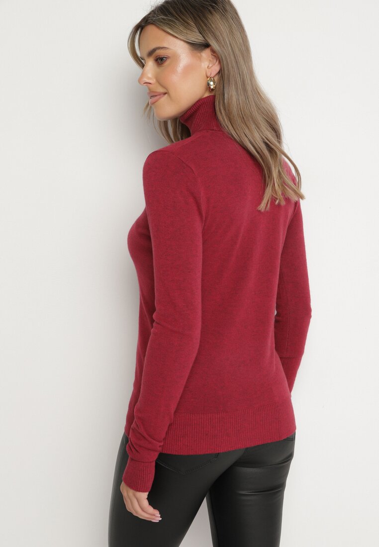 Bordowy Golf Sweter z Wiskozą i Kaszmirem Zailaya