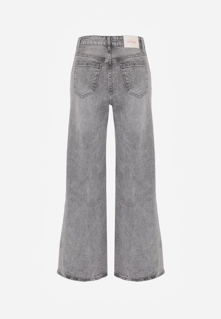 Szare Bawełniane Jeansy o Szerokim Kroju z Wysokim Stanem i Przetarciami Ryrixia