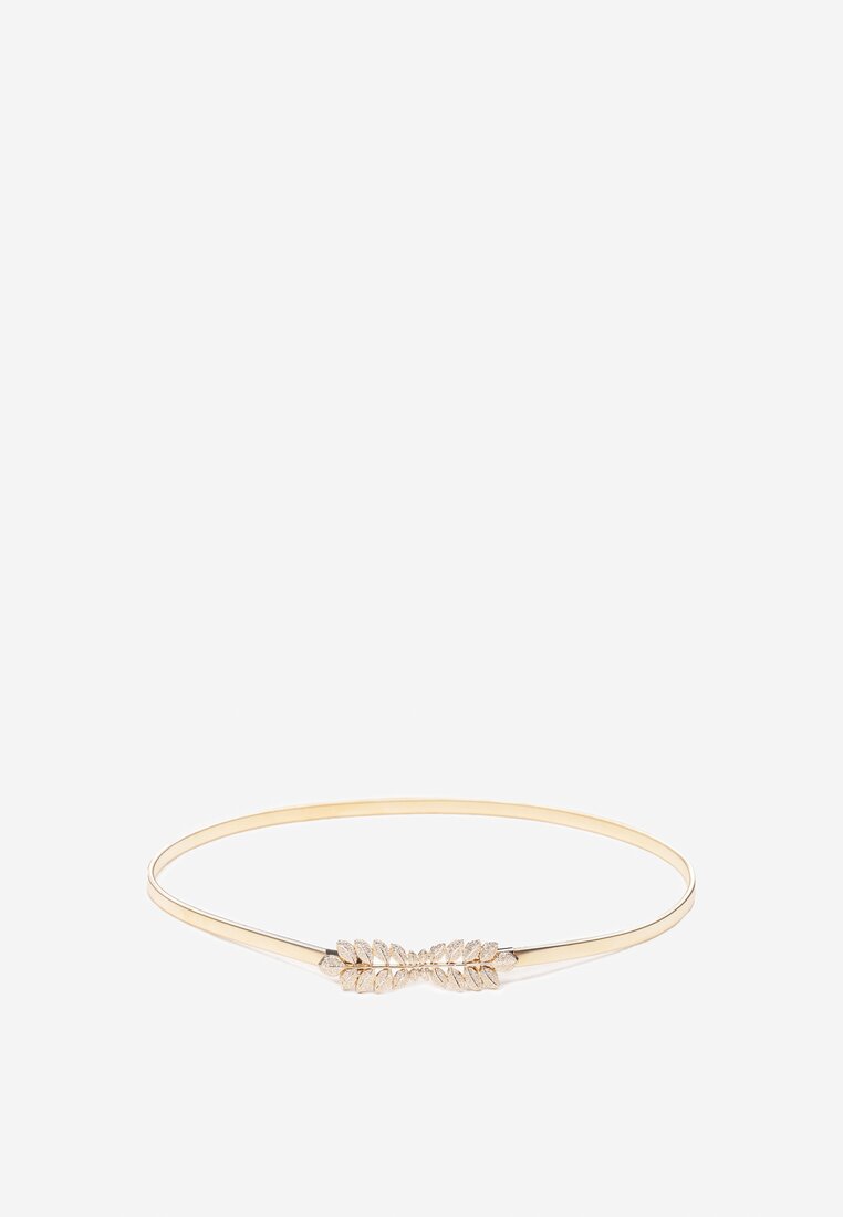 Złoty Pasek Deineina