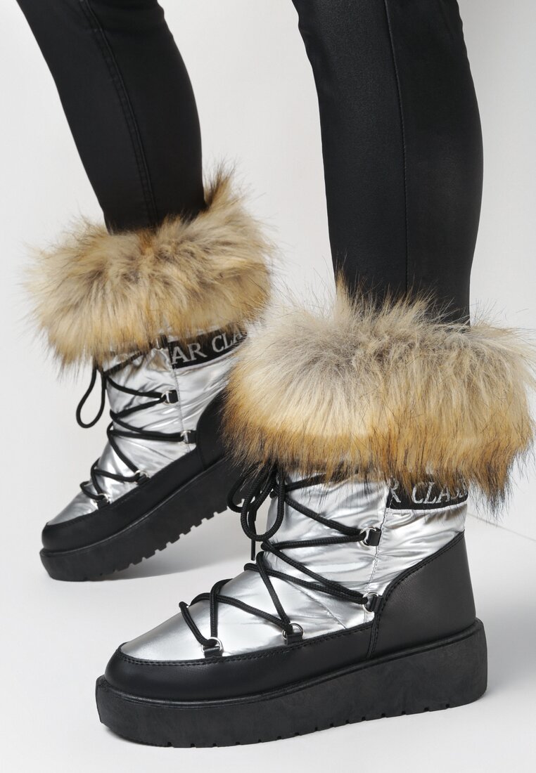 Apreschiuri Argintii