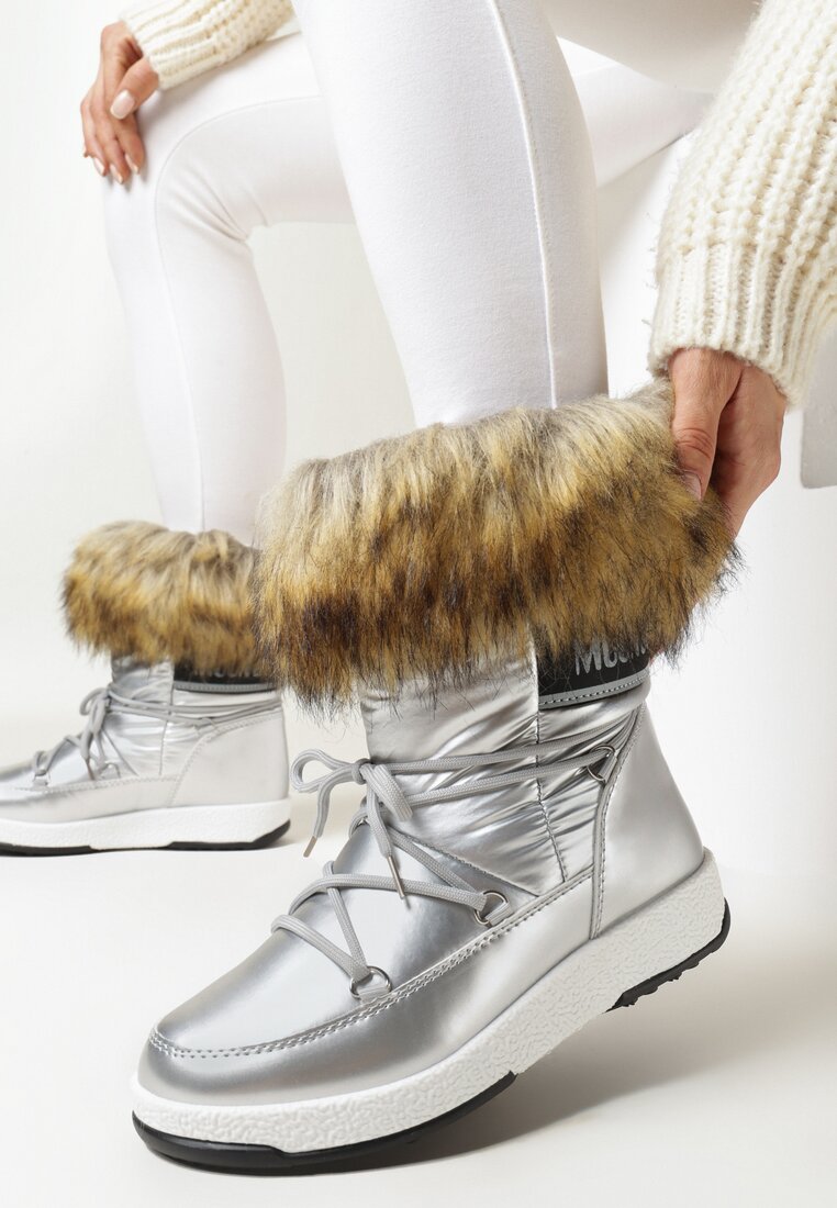 Apreschiuri Argintii